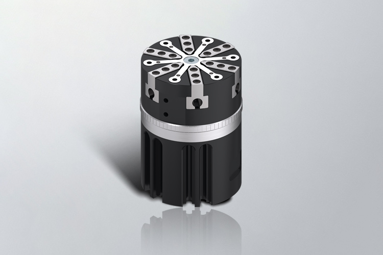 Zimmer GS O-ring Tutucular